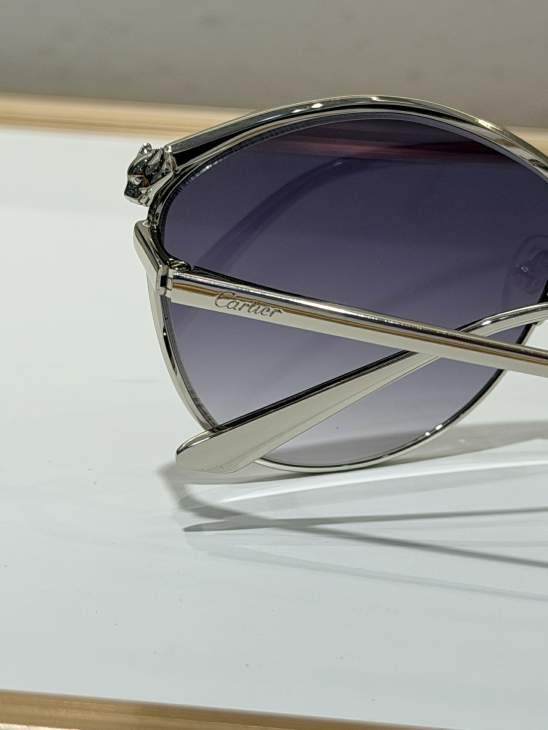Picture of Cartier Sunglasses _SKUfw79164710fw